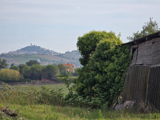  for sale in Fermo