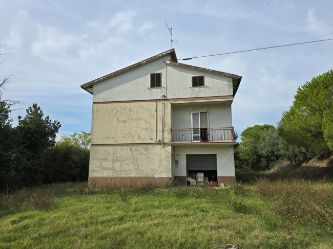  for sale in Fermo