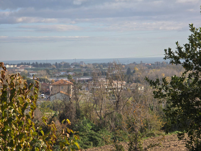  for sale in Fermo