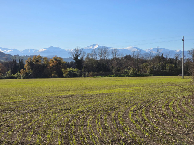  for sale in Montegiorgio