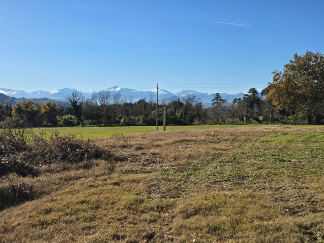  for sale in Montegiorgio