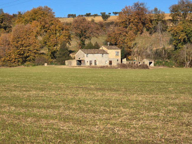  for sale in Montegiorgio