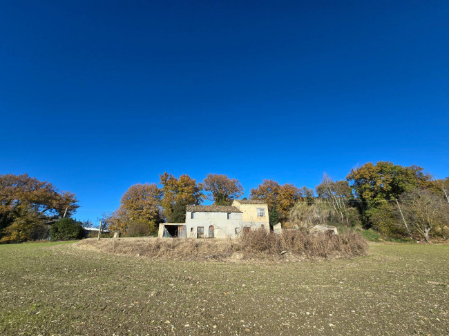  for sale in Montegiorgio