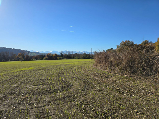  for sale in Montegiorgio
