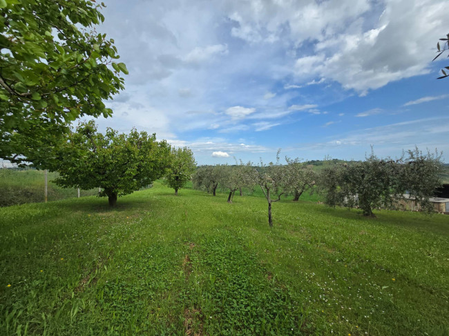Casa singola in vendita a Monte Rinaldo