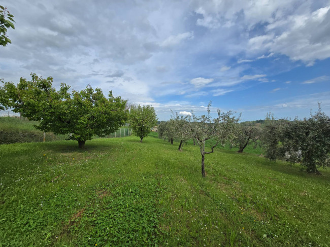 Casa singola in vendita a Monte Rinaldo