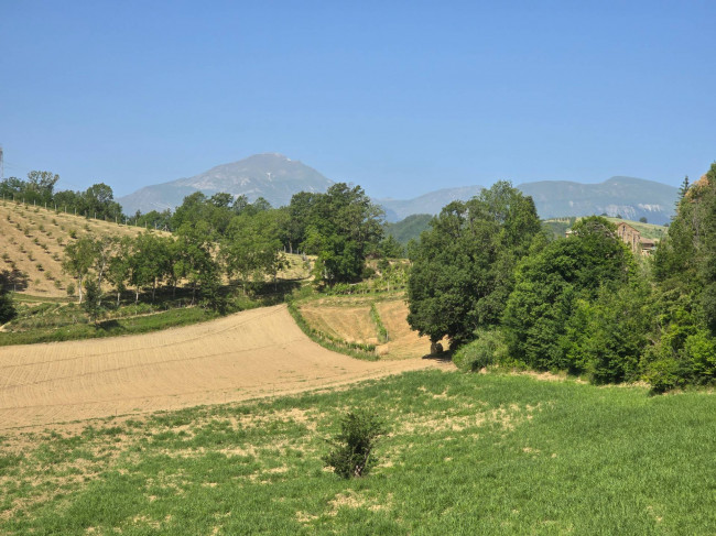 for sale in Montefalcone Appennino