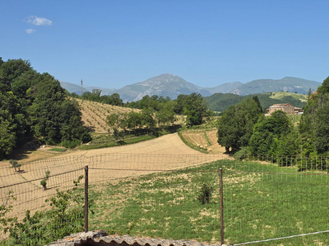  for sale in Montefalcone Appennino
