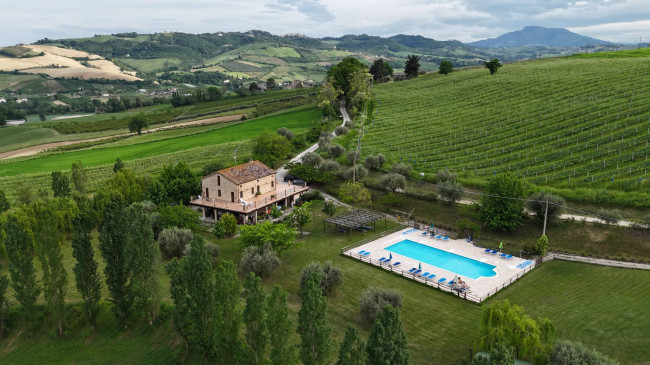  for sale in Ortezzano