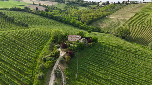  for sale in Ortezzano