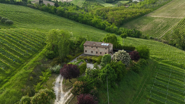  for sale in Ortezzano