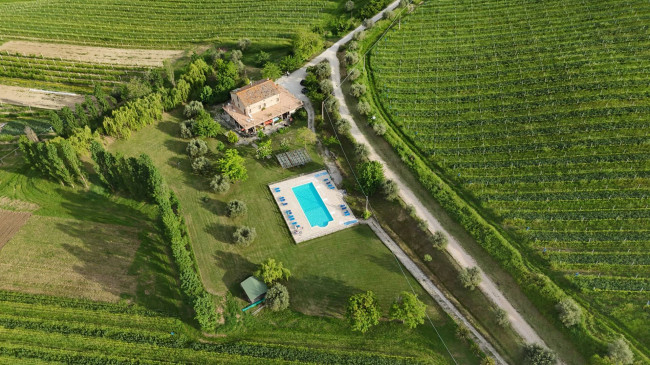  for sale in Ortezzano