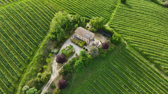 for sale in Ortezzano