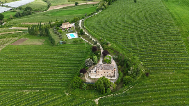  for sale in Ortezzano