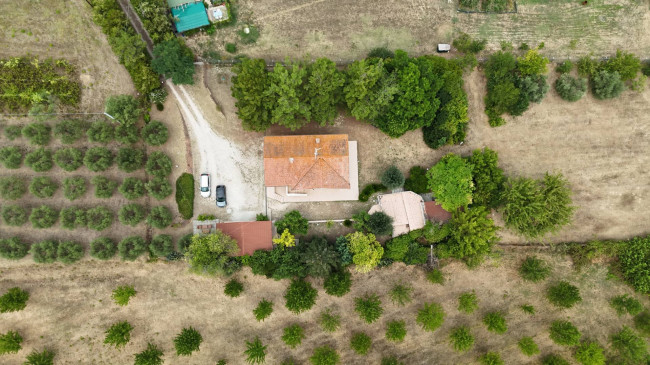  for sale in Sant'Elpidio a Mare