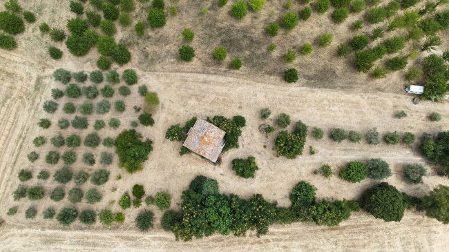  for sale in Sant'Elpidio a Mare