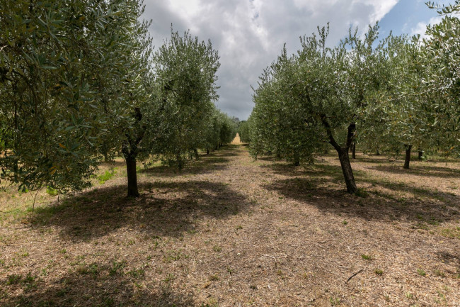  for sale in Sant'Elpidio a Mare