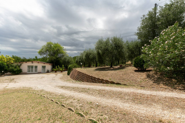  for sale in Sant'Elpidio a Mare