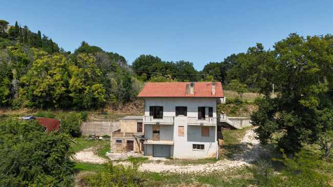  for sale in Moresco