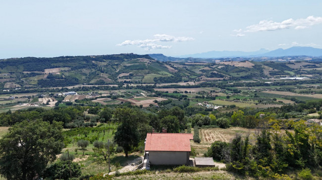  for sale in Moresco