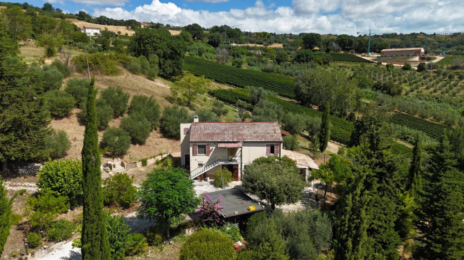  for sale in Moresco