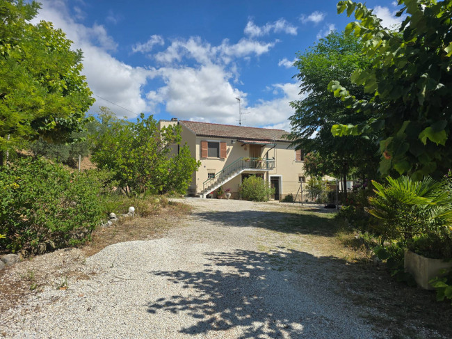  for sale in Moresco
