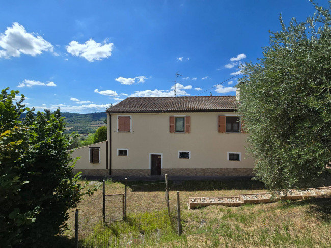  for sale in Moresco