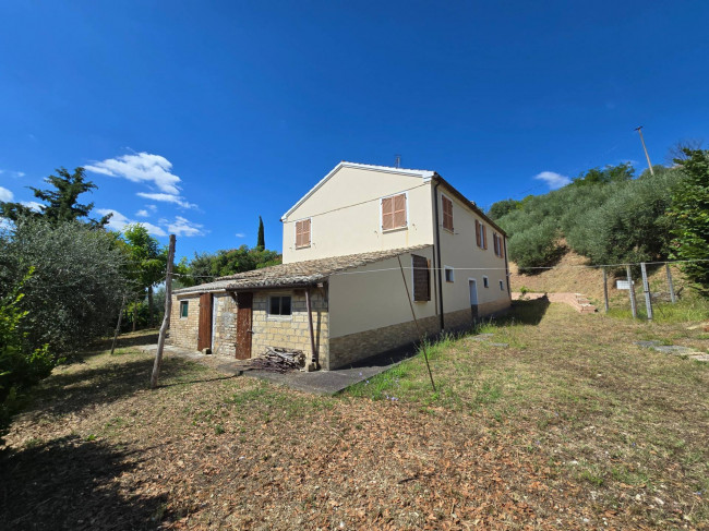  for sale in Moresco