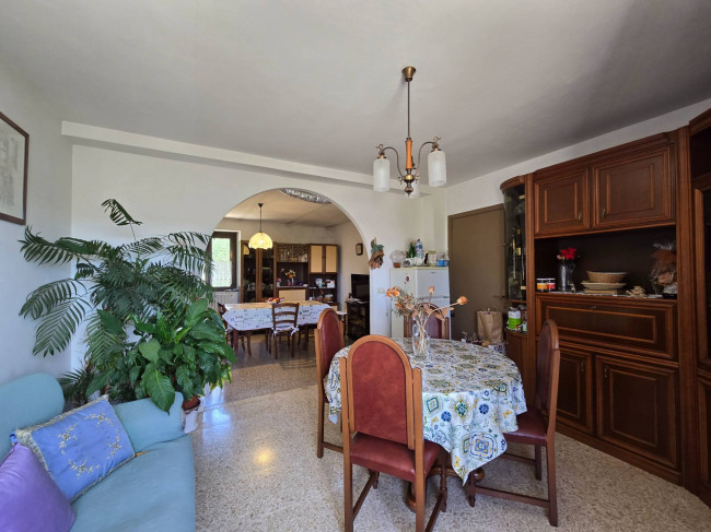  for sale in Moresco