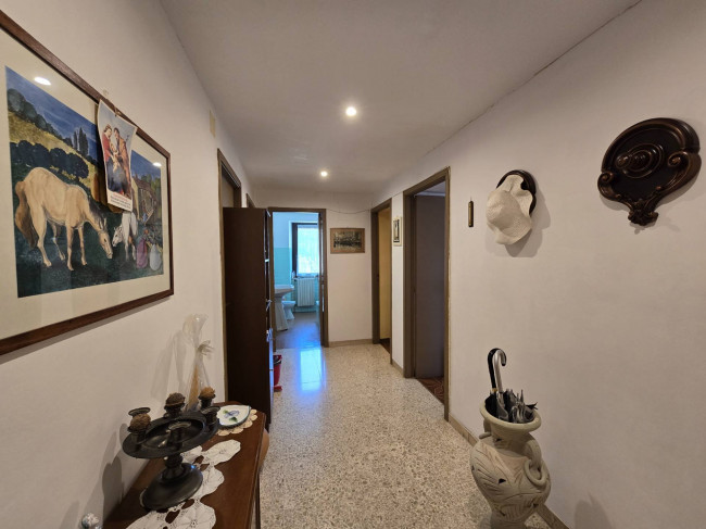  for sale in Moresco