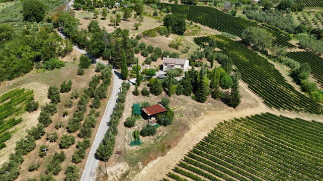  for sale in Moresco
