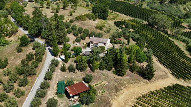  for sale in Moresco