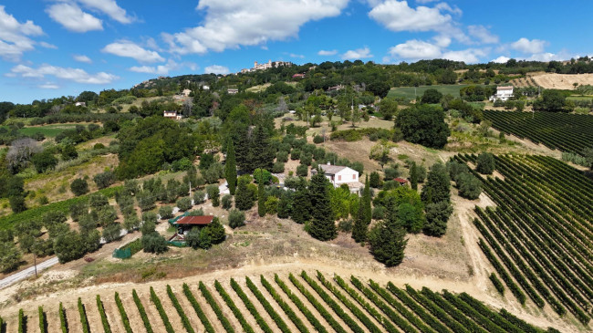  for sale in Moresco