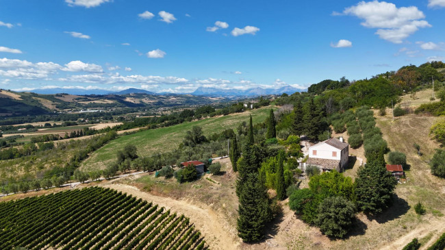 for sale in Moresco