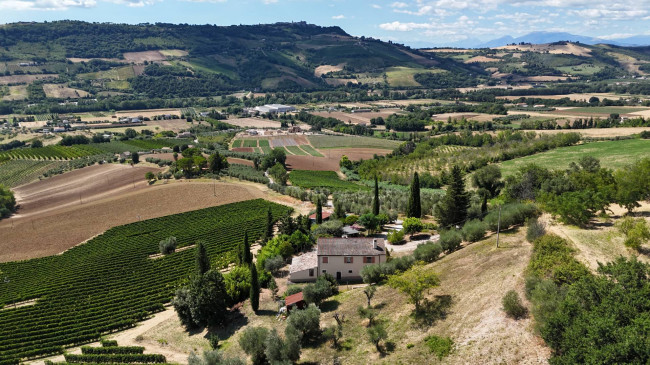  for sale in Moresco