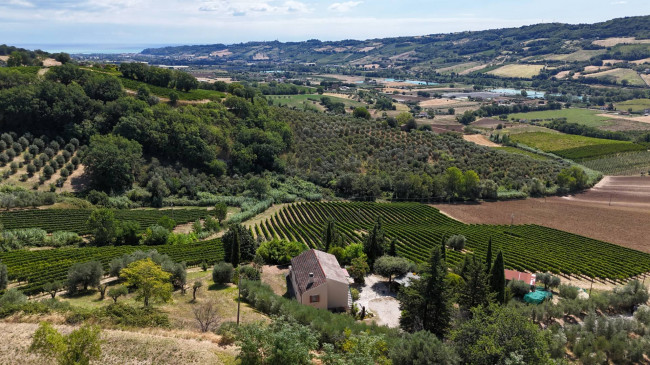  for sale in Moresco