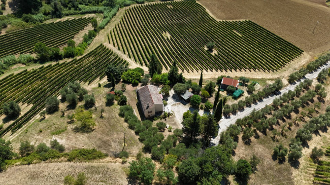  for sale in Moresco