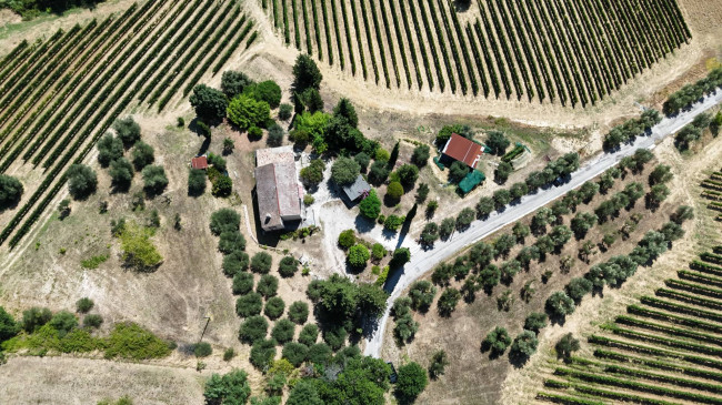  for sale in Moresco