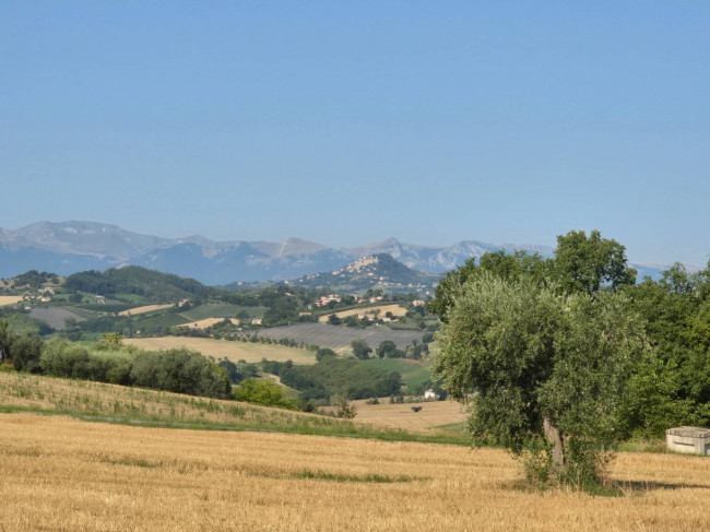 Casale in vendita a Belmonte Piceno