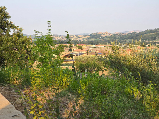  for sale in Montegiorgio