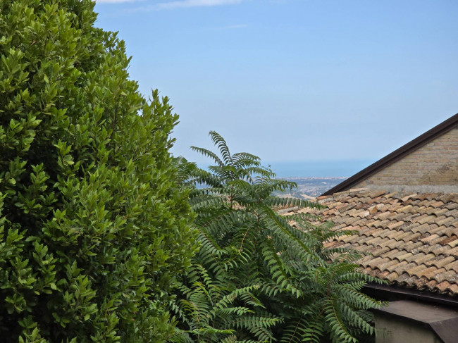  for sale in Fermo