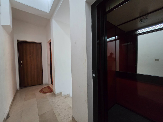  for sale in Fermo