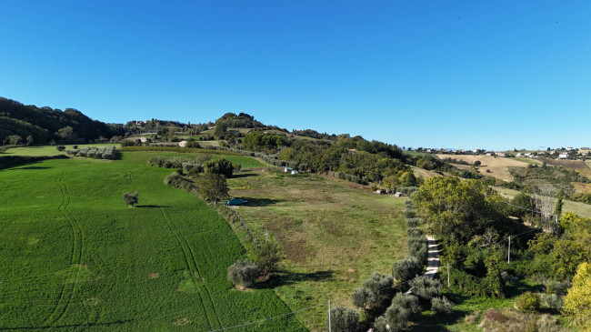 Terreno Agricolo in vendita a Monterubbiano