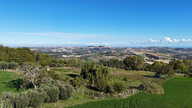 Terreno Agricolo in vendita a Monterubbiano