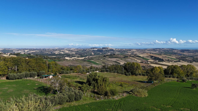 Terreno Agricolo in vendita a Monterubbiano