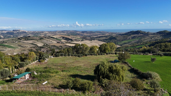 Terreno Agricolo in vendita a Monterubbiano