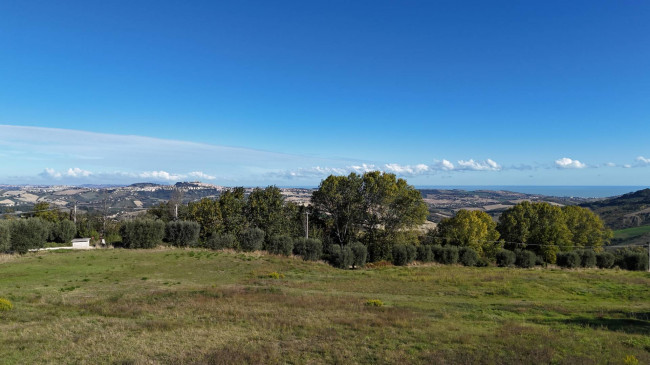 Terreno Agricolo in vendita a Monterubbiano