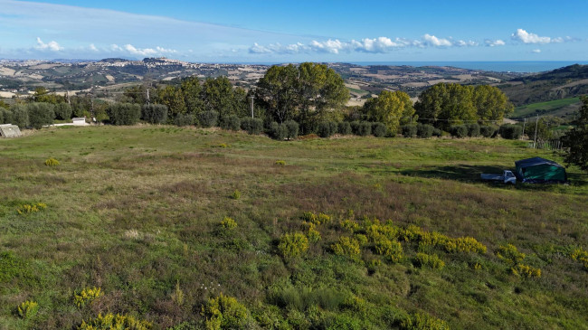 Terreno Agricolo in vendita a Monterubbiano