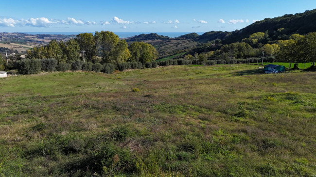 Terreno Agricolo in vendita a Monterubbiano