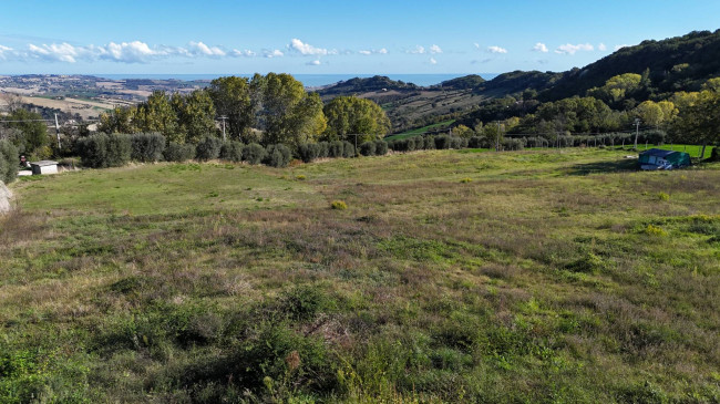 Terreno Agricolo in vendita a Monterubbiano